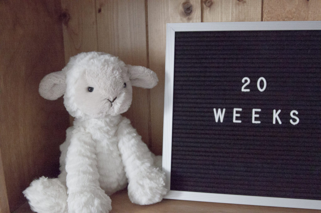 20 Weeks / Halfway There Pregnancy Update - Extra Petite